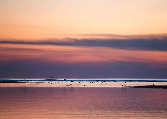 D'hotes De Franc Bed & Breakfast